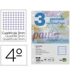 RECAMBIO LIDERPAPEL CUARTO PAUTAGUIA 100 HOJAS 75 G CUADRICULADO PAUTADO 3 MM CON MARGEN 6 TALADROS