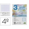 RECAMBIO LIDERPAPEL CUARTO PAUTAGUIA 100 HOJAS 75 G CUADRICULADO PAUTADO 3 MM CON MARGEN 6 TALADROS