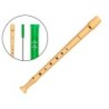 FLAUTA HOHNER PLASTICO 9508 FUNDA VERDE