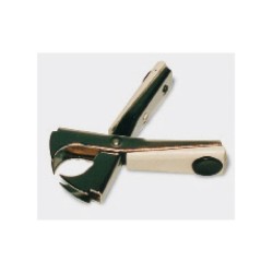 Extraegrapas Petrus 110