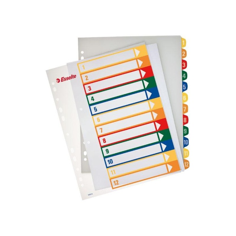Índices imprimibles Esselte - PP - 300 m - 245 x 305 mm - 12 posiciones