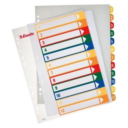 Índices imprimibles Esselte - PP - 300 m - 245 x 305 mm - 12 posiciones