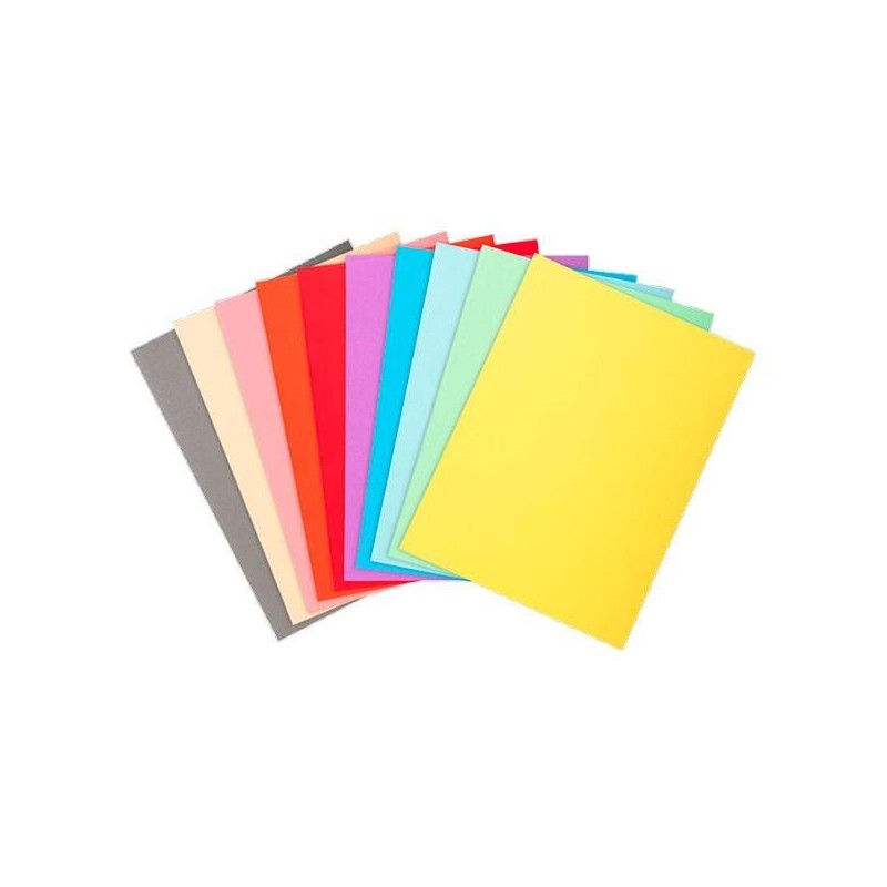 Subcarpeta Exacompta Forever 220 - 240 x 320 mm - 220 g - Colores surtidos - Pack 100 ud