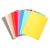 Subcarpeta Exacompta Forever 220 - 240 x 320 mm - 220 g - Colores surtidos - Pack 100 ud