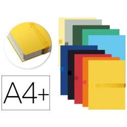 CARPETA DE PROYECTO EXACOMPTA DIN A4 LOMO HASTA 130 MM EXTENSIBLE CON TIRA DE VELCRO COLORES SURTIDOS (PACK INDIVISIBLE 10 UDS)