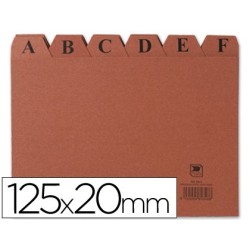 INDICE FICHERO LIDERPAPEL CARTON N 4 125X200 MM