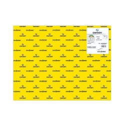 Cartulina Canson Iris - 50 x 65 cm - 185 g - Color amarillo canario (PACK INDIVISIBLE DE 25 UNIDADES)