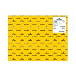 Cartulina Canson Iris - 50 x 65 cm - 185 g - Color gualda (PACK INDIVISIBLE DE 25 UNIDADES)