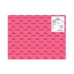 Cartulina Canson Iris - 50 x 65 cm - 185 g - Color fucsia (PACK INDIVISIBLE DE 25 UNIDADES)