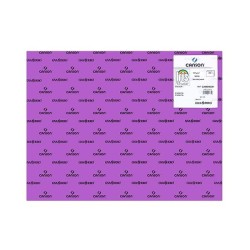 Cartulina Canson Iris - 50 x 65 cm - 185 g - Color violeta (PACK INDIVISIBLE DE 25 UNIDADES)