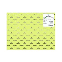 Cartulina Canson Iris - 50 x 65 cm - 185 g - Color verde manzana (PACK INDIVISIBLE DE 25 UNIDADES)