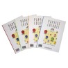 Papel Canson Iris - A4 - 80 g - Color crema ahuesado - Pack 100 hojas