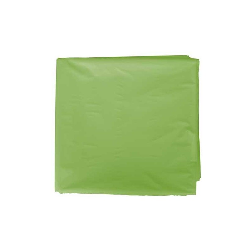 Bolsa para disfraz Fixo Kids - 65 x 90 cm - Color verde claro - Pack 25 ud Bolsa para disfraz Fixo Kids - 65 x 90 cm - Color verde claro - Pack 25 ud