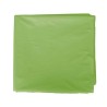 Bolsa para disfraz Fixo Kids - 65 x 90 cm - Color verde claro - Pack 25 ud