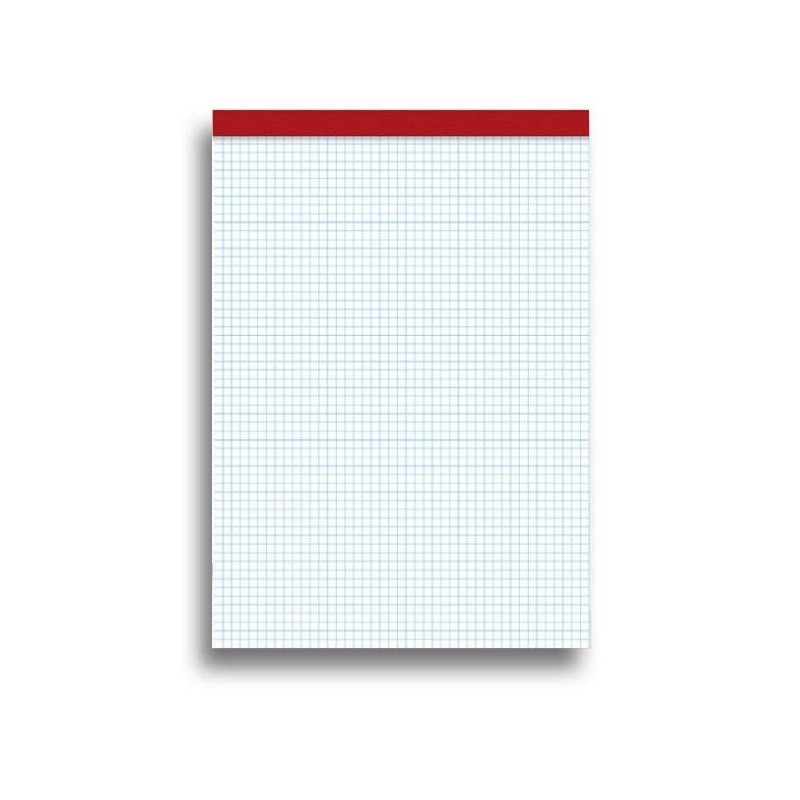Bloc Pacsa - Grapas - Hojas trepadas - Sin tapa - Folio - 4x4 - 80 hojas - 60 g Bloc Pacsa - Grapas - Hojas trepadas - Sin tapa - Folio - 4x4 - 80 hojas - 60 g