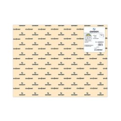 Cartulina Canson Iris - 50 x 65 cm - 185 g - Color cáscara de huevo (PACK INDIVISIBLE DE 25 UNIDADES)