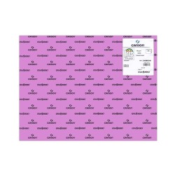 Cartulina Canson Iris - 50 x 65 cm - 185 g - Color malva (PACK INDIVISIBLE DE 25 UNIDADES)