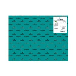 Cartulina Canson Iris - 50 x 65 cm - 185 g - Color verde menta (PACK INDIVISIBLE DE 25 UNIDADES)