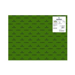 Cartulina Canson Iris - 50 x 65 cm - 185 g - Color verde safari (PACK INDIVISIBLE DE 25 UNIDADES)