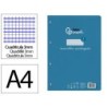 RECAMBIO LIDERPAPEL A4 PAUTAGUIA 100 HOJAS 75 G CUADRICULADO PAUTADO 3 MM CON MARGEN 4 TALADROS