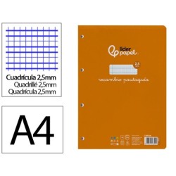 RECAMBIO LIDERPAPEL DIN A4 PAUTAGUIA 100 HOJAS 75 G/M2 CUADRICULADO PAUTADO 2,5 MM CON MARGEN 4 TALADROS
