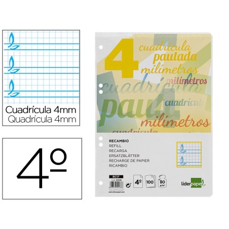 RECAMBIO LIDERPAPEL CUARTO PAUTAGUIA 100 HOJAS 75 G CUADRICULADO PAUTADO 4 MM CON MARGEN 6 TALADROS